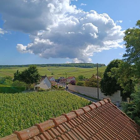 Gîte indépendant Diz'enreves au cœur des vignes Dizy Exterior foto
