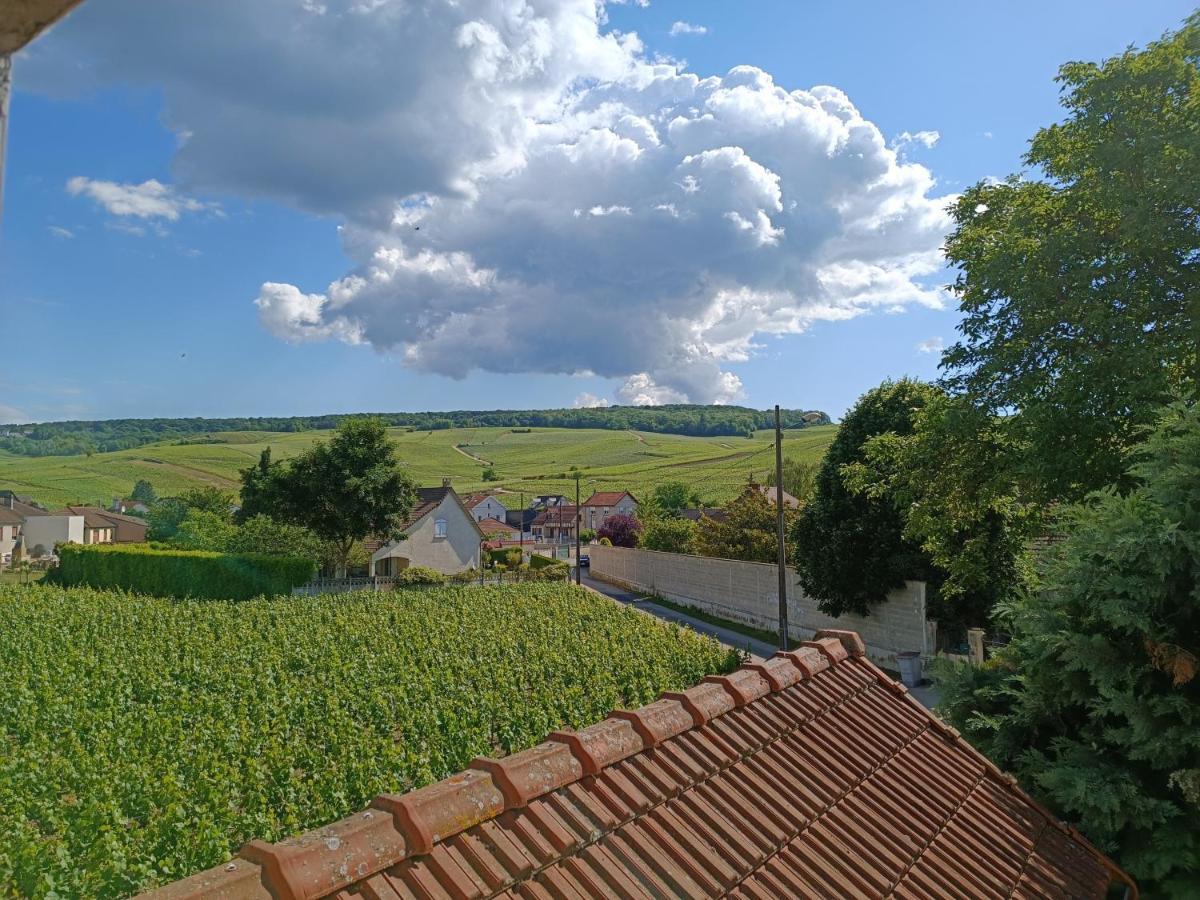 Gîte indépendant Diz'enreves au cœur des vignes Dizy Exterior foto