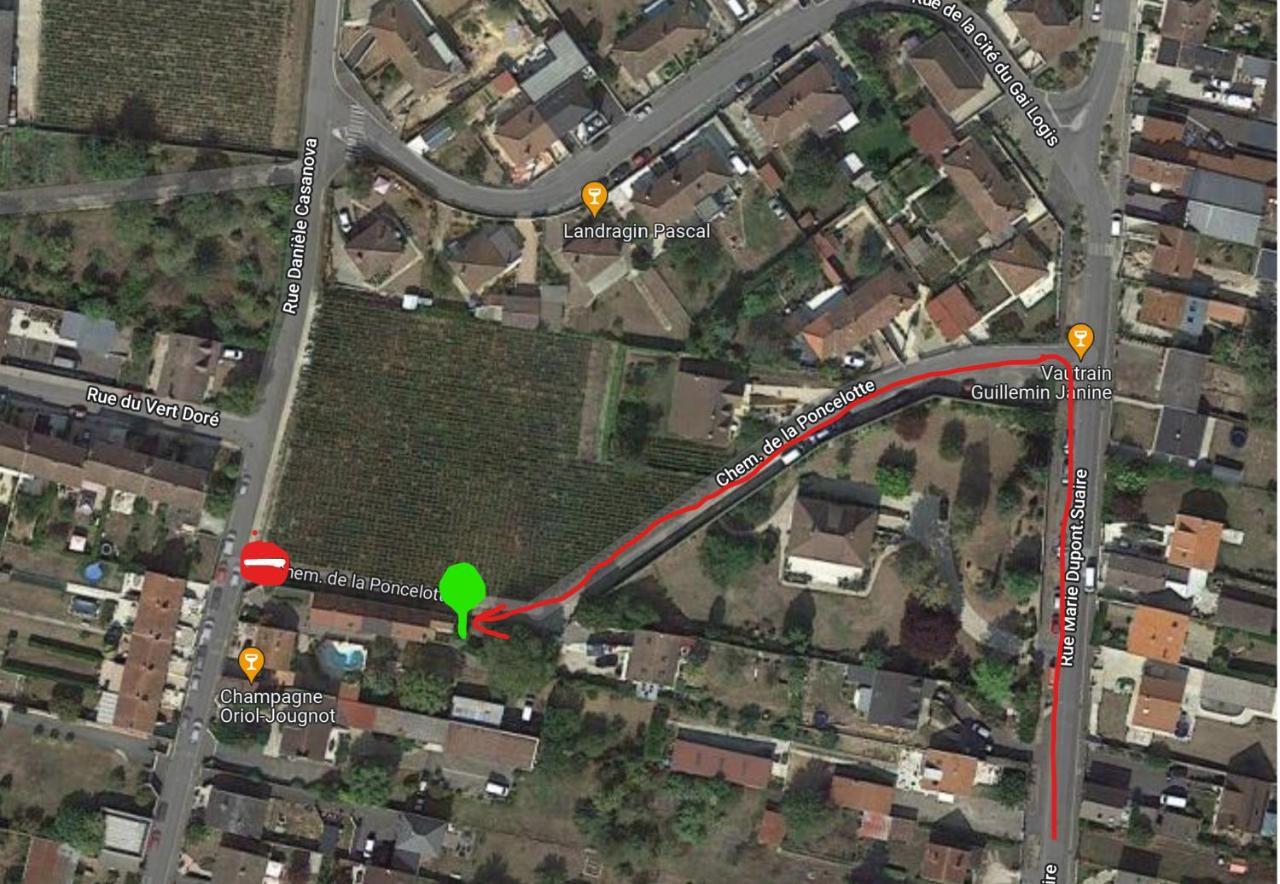 Gîte indépendant Diz'enreves au cœur des vignes Dizy Exterior foto