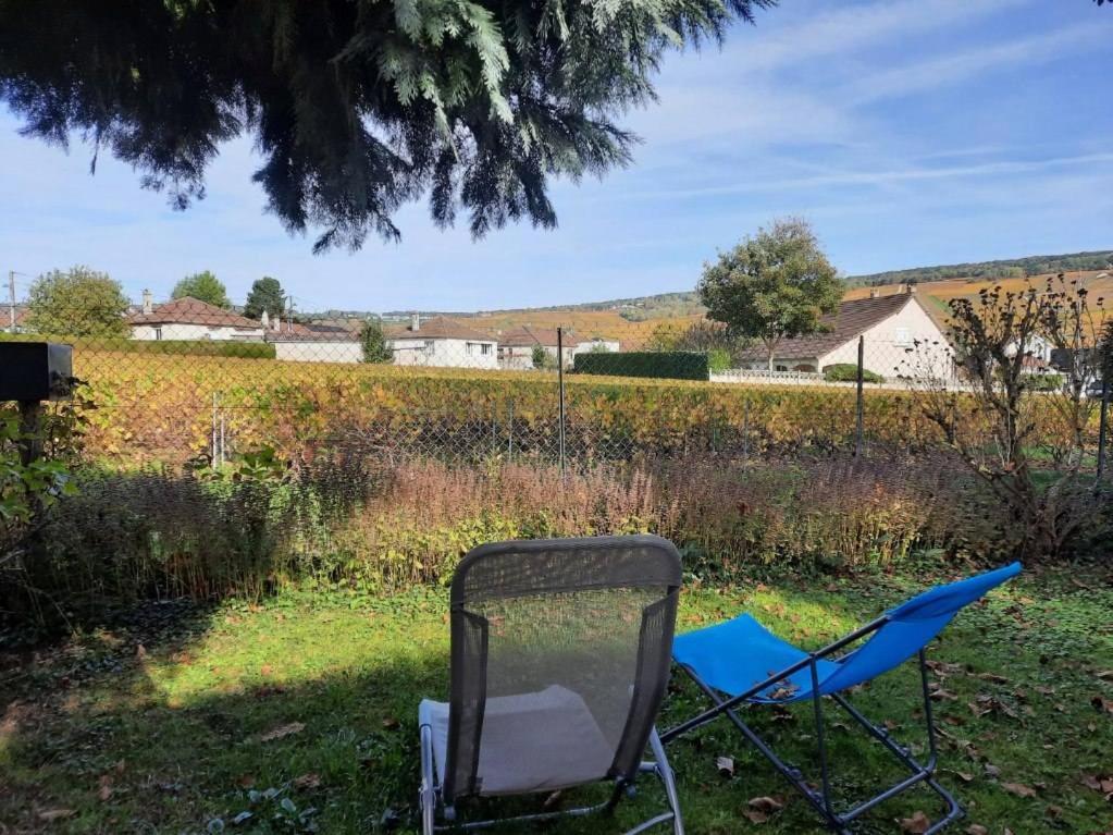 Gîte indépendant Diz'enreves au cœur des vignes Dizy Exterior foto